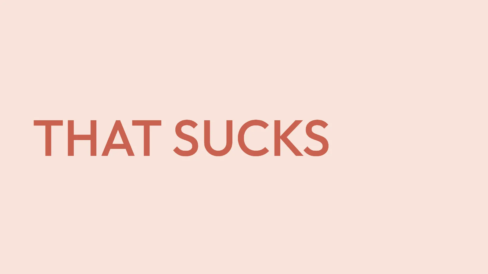 Slide 26: THAT SUCKS